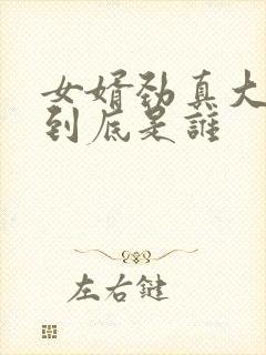 女婿劲真大枪枪到底是谁封面