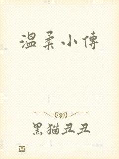 温柔小传封面