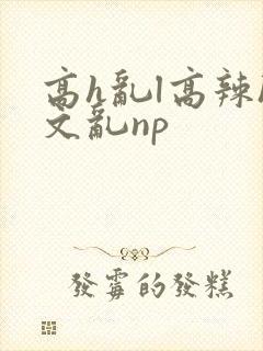 高h乱l高辣h文乱np