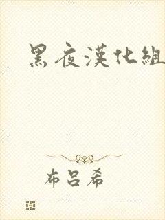 黑夜汉化组
