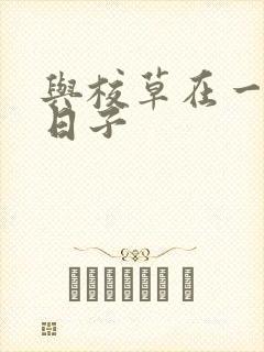 与校草在一起的日子