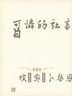 可怜的社畜东度日