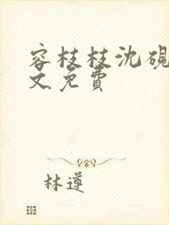 容枝枝沈砚书全文免费封面