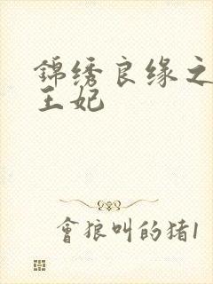 锦绣良缘之北地王妃