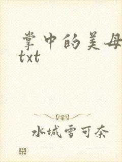 掌中的美母版主txt