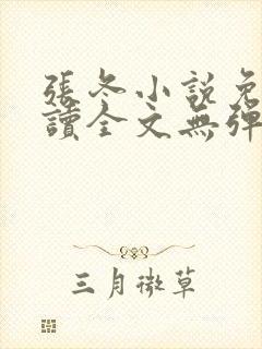 张冬小说免费阅读全文无弹窗封面