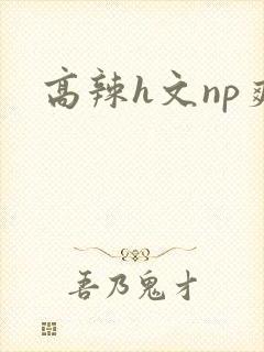 高辣h文np爽