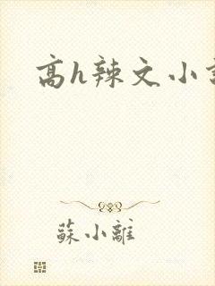 高h辣文小说