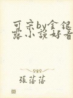 可宋by金银花露小说好看吗