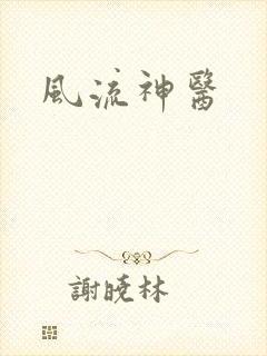 风流神医封面