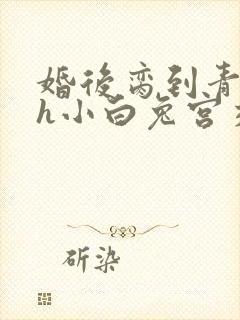 婚后脔到青梅哭h小白兔宫交h