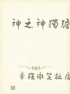 神之神独胆王