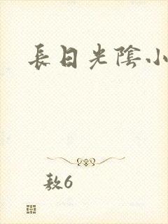 长日光阴小说