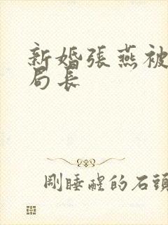 新婚张燕被两个局长