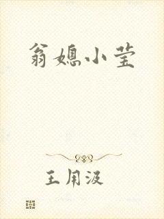 翁媳小莹封面
