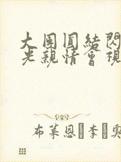 大团圆结闪闪发光亲情会视频封面