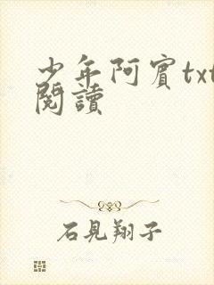 少年阿宾txt阅读封面
