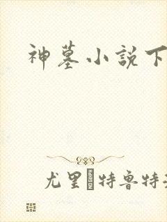 神墓小说下载