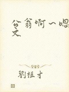 公翁啊～嗯啊h文