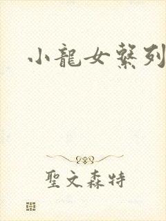小龙女系列小说