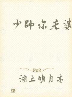 少帅你老婆