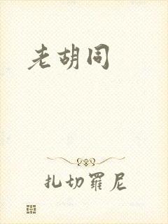 老胡同