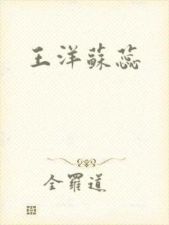 王洋苏蕊封面