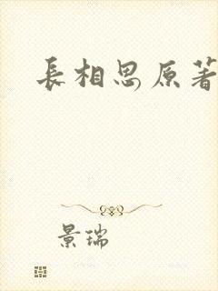 长相思原著小说封面