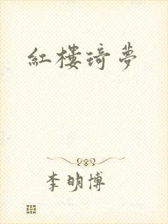 红楼琦梦