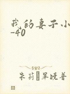 我的妻子小谨1-40