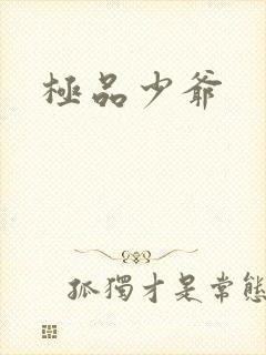 极品少爷
