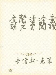 夜阑清冷意欢小说免费阅读封面