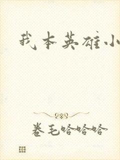 我本英雄小说