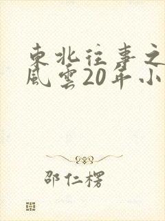 东北往事之黑道风云20年小说