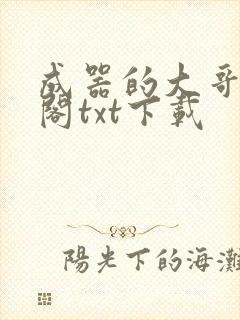 成器的大哥笔趣阁txt下载