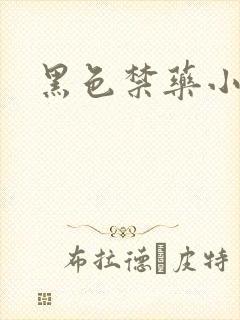 黑色禁药小说封面