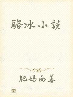 骆冰小说