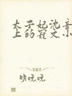 太子妃沈音和皇上的宠文小说