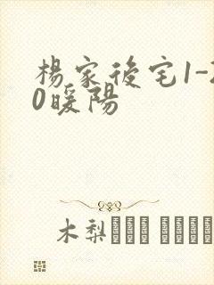 杨家后宅1-20暖阳
