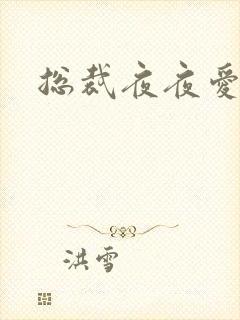 总裁夜夜爱