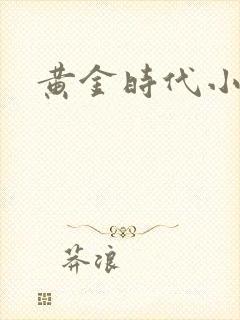 黄金时代小说