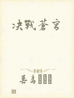 决战苍穹