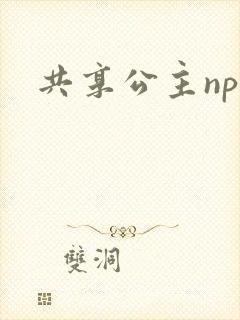 共享公主npc
