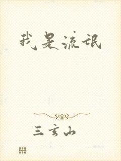 我是流氓