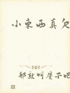 小东西真欠弄