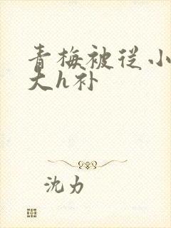 青梅被从小摸到大h补封面