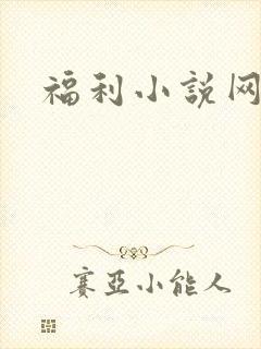福利小说网