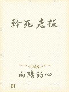 干死老板封面