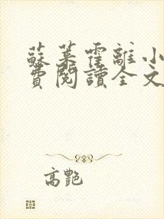 苏莱霍离小说免费阅读全文封面