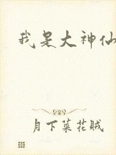 我是大神仙小说封面